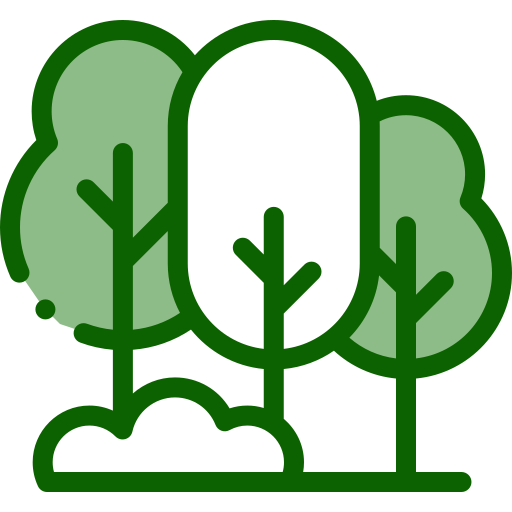 תסקיר השפעה על הסביבה